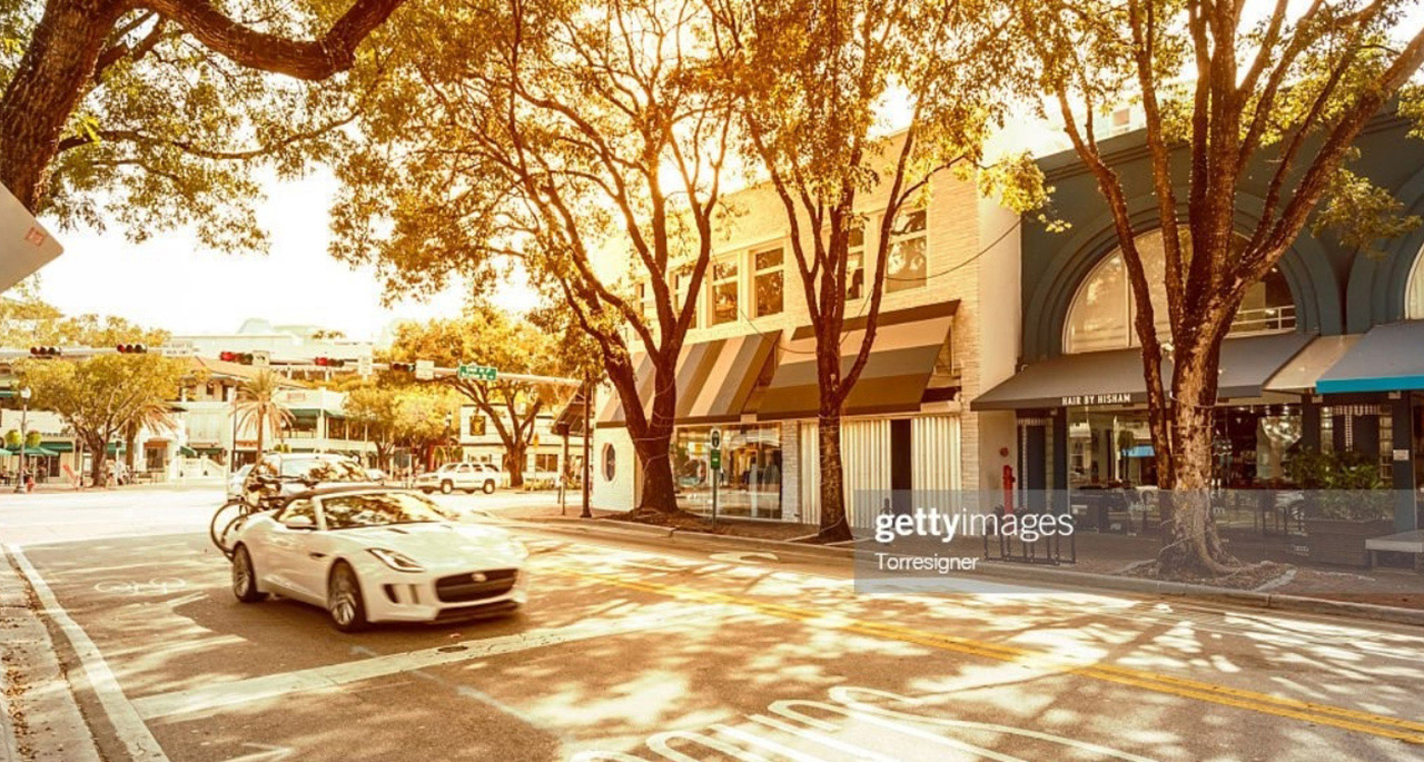 View of a tree-lined street at Coconut Grove, with a sunlight pouring between tree branches and a luxury car.
